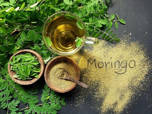 クレオパトラも愛飲したお茶「モリンガ」とは！？