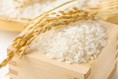 美味しいご飯を炊くには、米の浸水時間と吸水率に秘密があった！