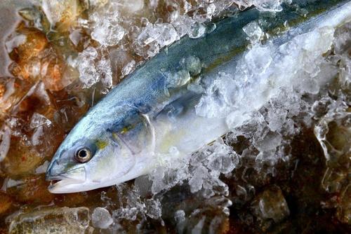 体型が気になり始めたら ブリ のカロリーと糖質量 食 料理 オリーブオイルをひとまわし