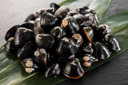 栄養満点 しじみ のカロリー 栄養が多い身をしっかり食べるレシピ 食 料理 オリーブオイルをひとまわし