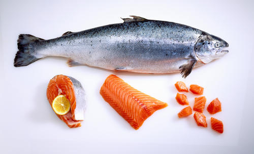 鮭の塩抜きと臭み抜きを正しくマスターして美味しい鮭料理を作ろう