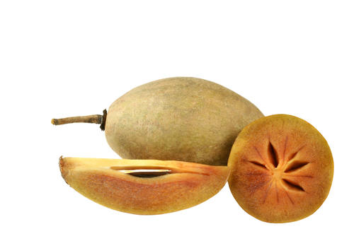 珍しい中米産のフルーツ、サポジラはチューインガムの素！？