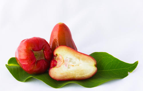 輝く赤い果実ミズレンブ！美味しさも栄養も備わった優れたフルーツ