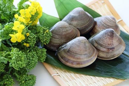 はまぐり の正しい保存方法 冷凍保存はできる 食 料理 オリーブオイルをひとまわし