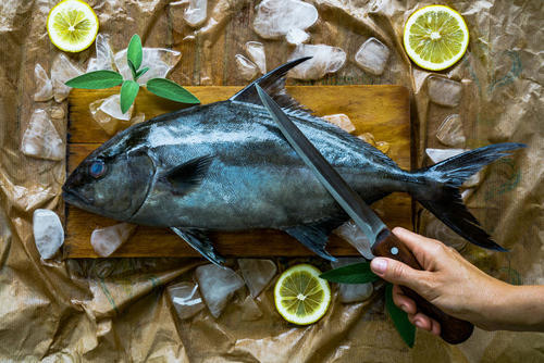 魚の背開きの方法を解説。美味しく食べるポイントはよく洗うこと？