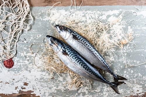 【鯖（さば）】は海外でも人気！国別の人気の鯖料理を紹介