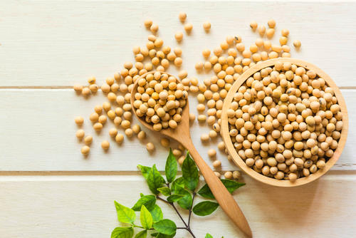 大豆は保存食としても優秀！大豆の保存方法や冷凍保存の仕方