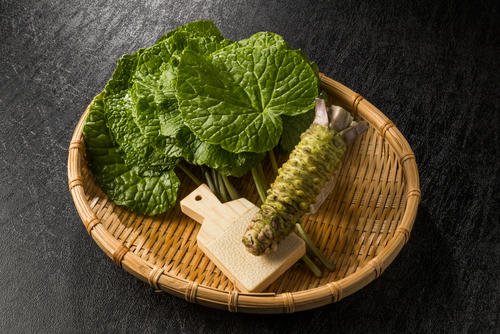 葉わさびと茎わさびは何が違う 特徴とおすすめの食べ方 食 料理 オリーブオイルをひとまわし