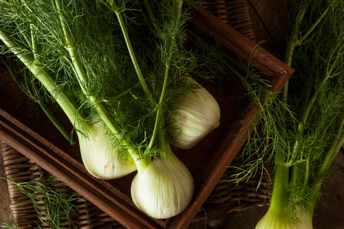 新種の野菜が増え続ける理由とは 図鑑に載っていない新種野菜をまとめてチェック 食 料理 オリーブオイルをひとまわし