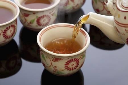 美味しさや香りをもっと引き出そう！烏龍茶の飲み方を伝授