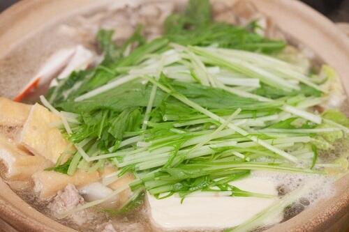 水菜ときょうなの違いを解説。箸が止まらないおすすれレシピとは？
