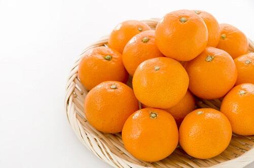 ジューシーなとろける果肉が魅力の柑橘類【天草】の特徴や選び方
