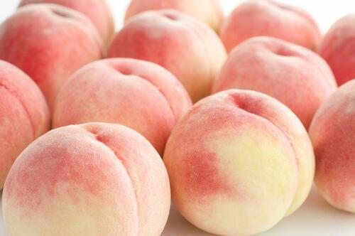 代表的な桃の品種【白鳳】の歴史と特徴とは？美味しさの秘密を知ろう