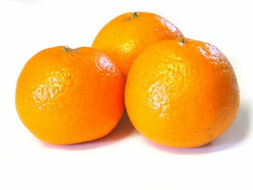 みかん それともオレンジ マンダリン ってどんな柑橘 食 料理 オリーブオイルをひとまわし
