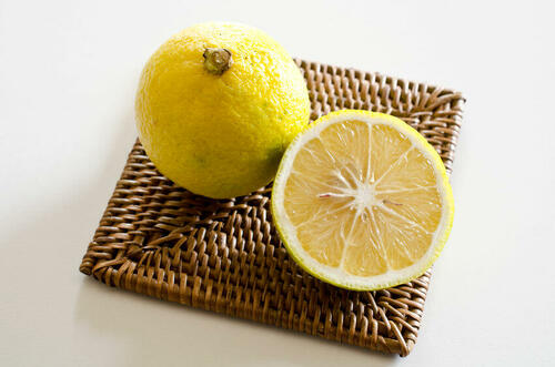 柑橘類【ハルカ】の特徴と由来。見た目はレモンなのに甘い？