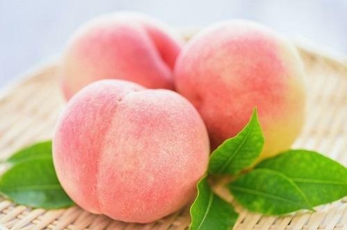 色白で美しい桃の女王【清水白桃】の美味しさとおすすめの食べ方