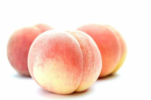 希少な桃【浅間白桃】の味わいと特徴を紹介