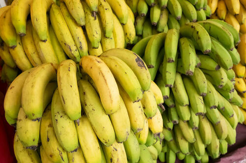 日本では高級品！？台湾バナナの魅力を徹底解説！