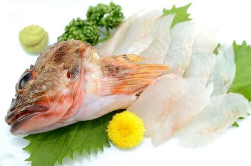 刺身が絶品の高級魚 カサゴの美味しい食べ方いろいろ 食 料理 オリーブオイルをひとまわし