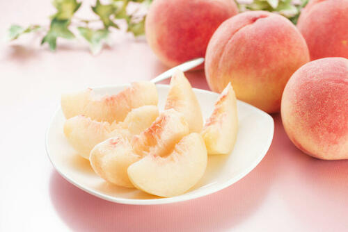 夏といえば桃！白桃の美味しさや黄桃との違いを徹底解説