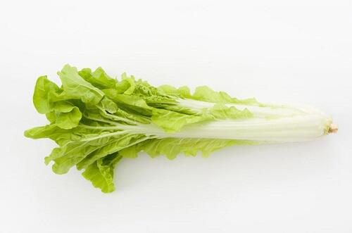 白菜の仲間【山東菜】は2種類ある！特徴と美味しい食べ方