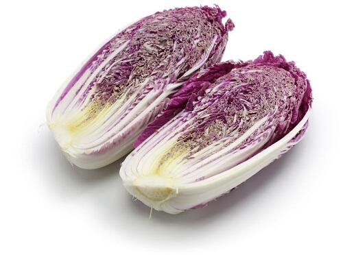 サラダの彩りに最適！【紫白菜】の特徴や品種をチェック