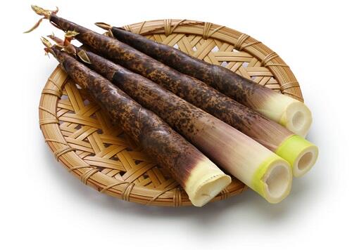 真竹とは？刺身で食べても美味しいタケノコの一種について詳しく解説！
