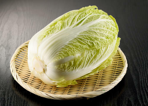 【円筒形白菜】の特徴や由来を解説！美味しい食べ方も紹介