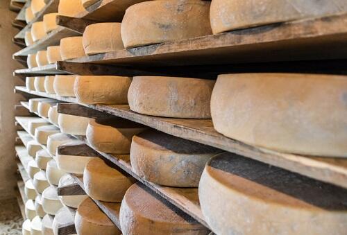 イタリアのチーズ【カルニア・アルトブット・ストラヴェッキオ】とは