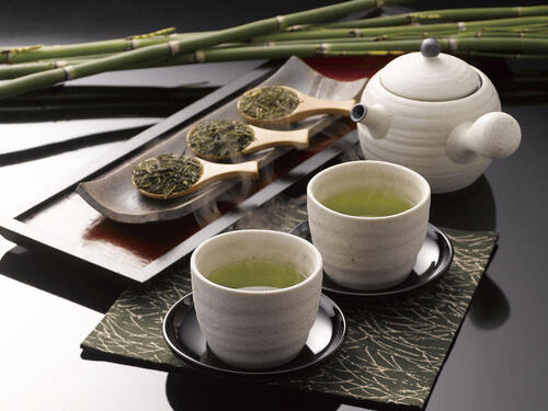【おくひかり】ってどんな日本茶？特徴や美味しく飲む方法を解説