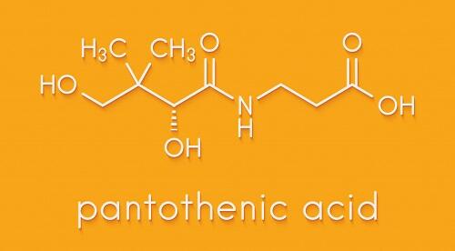 【パントテン酸】ってどんな栄養素？その主な役割について知ろう