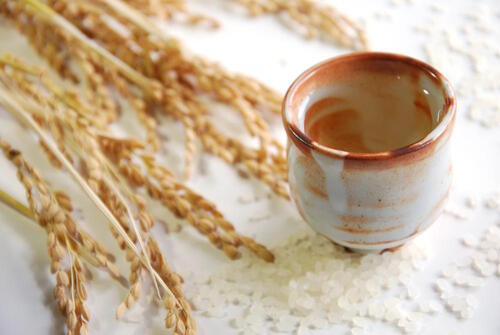 高知県産の米と酵母で造られる【亀泉】はほかの日本酒と何が違うの？