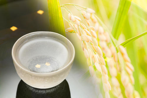 麹菌に注目！【亜麻猫】はクエン酸由来の酸味が特徴的な日本酒