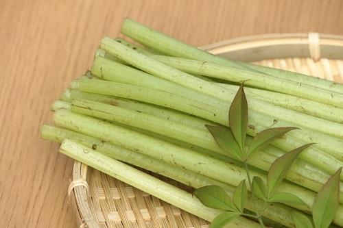 管理栄養士監修 ふきの栄養素と調理法 栄養図鑑 食 料理 オリーブオイルをひとまわし