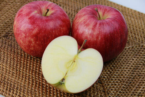 りんごの旬は8月～11月頃！品種や産地などで美味しい時期は違う！