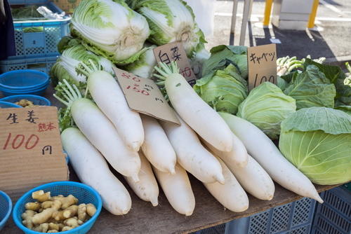 冬の定番野菜である大根・白菜・キャベツの使いきり術