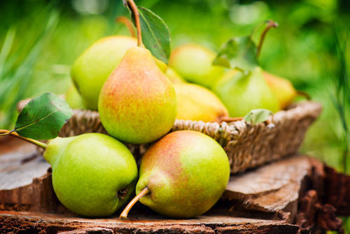 洋梨の保存方法を紹介！追熟のチェック方法や冷凍後の美味しい食べ方も！