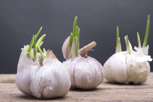 栄養 芽 にんにく の にんにくの芽のカロリーと糖質について｜良好倶楽部