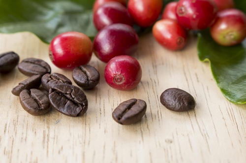 コーヒー豆の精製法と焙煎法は？コーヒー好きのための『豆』知識！