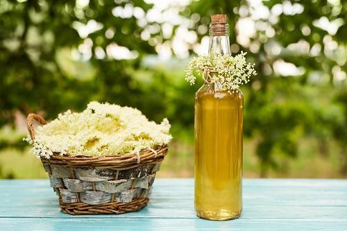 エルダーフラワーとは？イギリスで『万能の薬箱』とされる花を紹介！