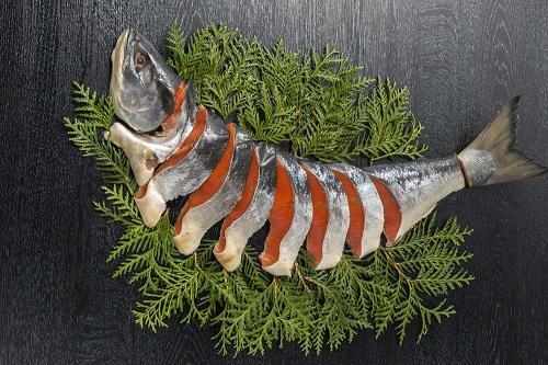 鮭の調理法を解説！蒸し焼きや発酵、煮て作る北海道の郷土料理とは