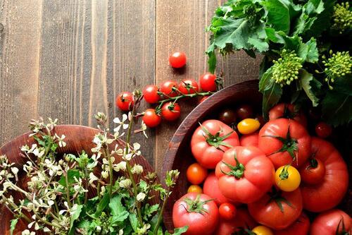 トマトを大量消費するならトマトソースで！冷凍保存で時短にも！
