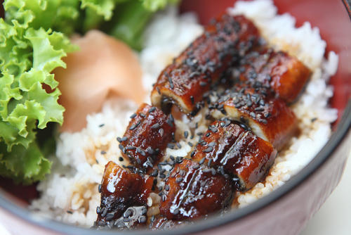 穴子がよりおいしく食べられる旬の時期とおすすめの食べ方 食 料理 オリーブオイルをひとまわし