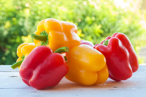 【パプリカ】はピーマンとは違う野菜？色によって違う栄養を解説！