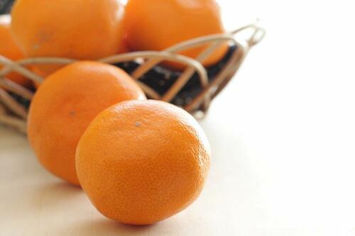 新品種の柑橘類【津之輝（つのかがやき）】の旬や選び方を解説！
