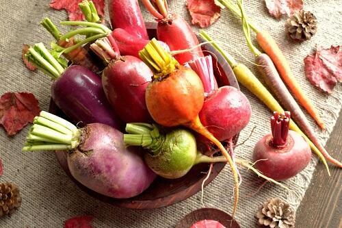 飛騨高山の名産品【飛騨紅かぶ】の特徴や旬は？美味しい食べ方も紹介