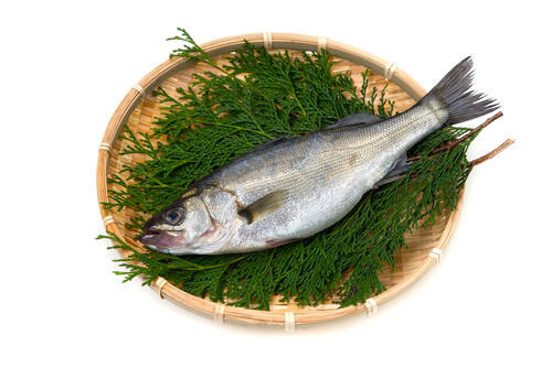 鱸（すずき）とは？有名な出世魚の栄養価や美味しい食べ方などを紹介