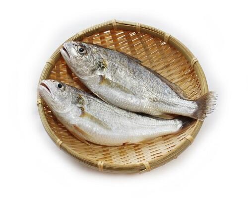 イシモチとはどんな魚なのか 特徴や旬の時期 美味しい食べ方を紹介 食 料理 オリーブオイルをひとまわし