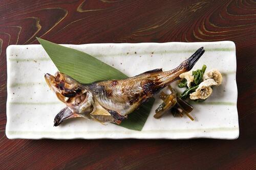 タカベとは？夏が旬の高級魚の特徴や美味しい食べ方などを紹介！
