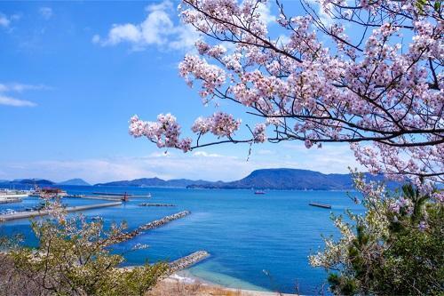 春告魚（はるつげうお）とは？「ニシン」以外の春を知らせる魚も紹介